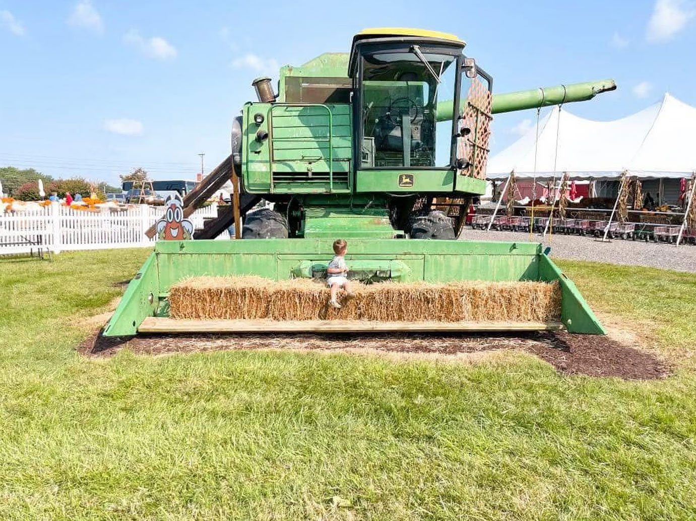 field-of-fun-2